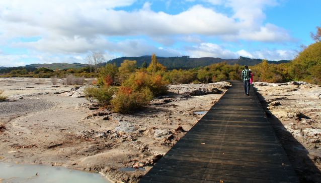 24 Hours in Rotorua