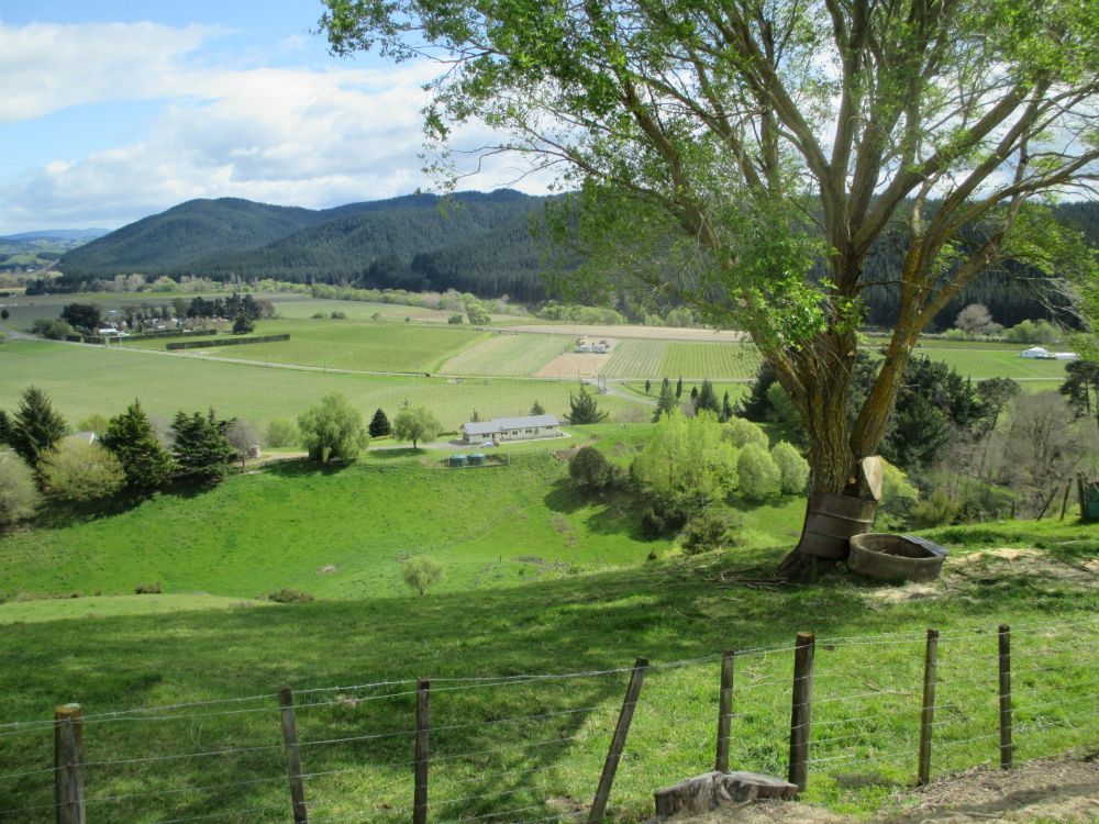 The Best Scenic Drives Around Rotorua