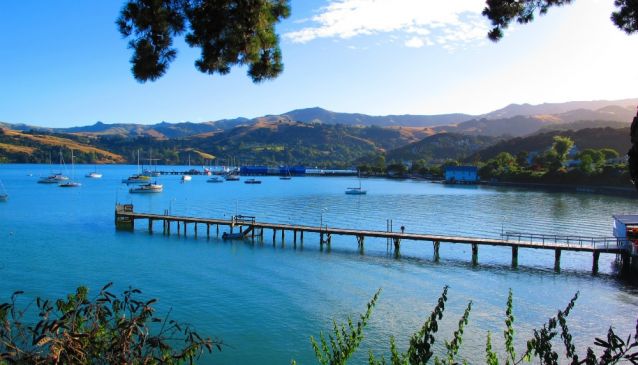 The Wild Side of Akaroa