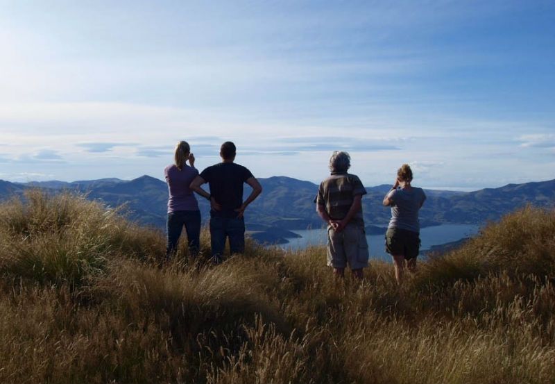 The Wild Side of Akaroa