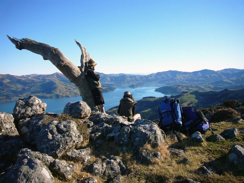 The Wild Side of Akaroa