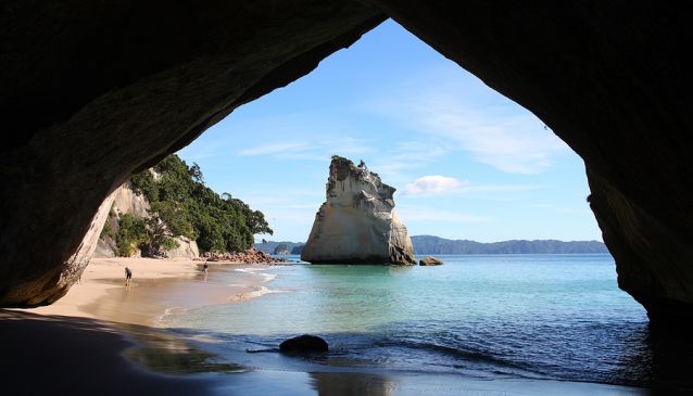 Exploring The Coromandel