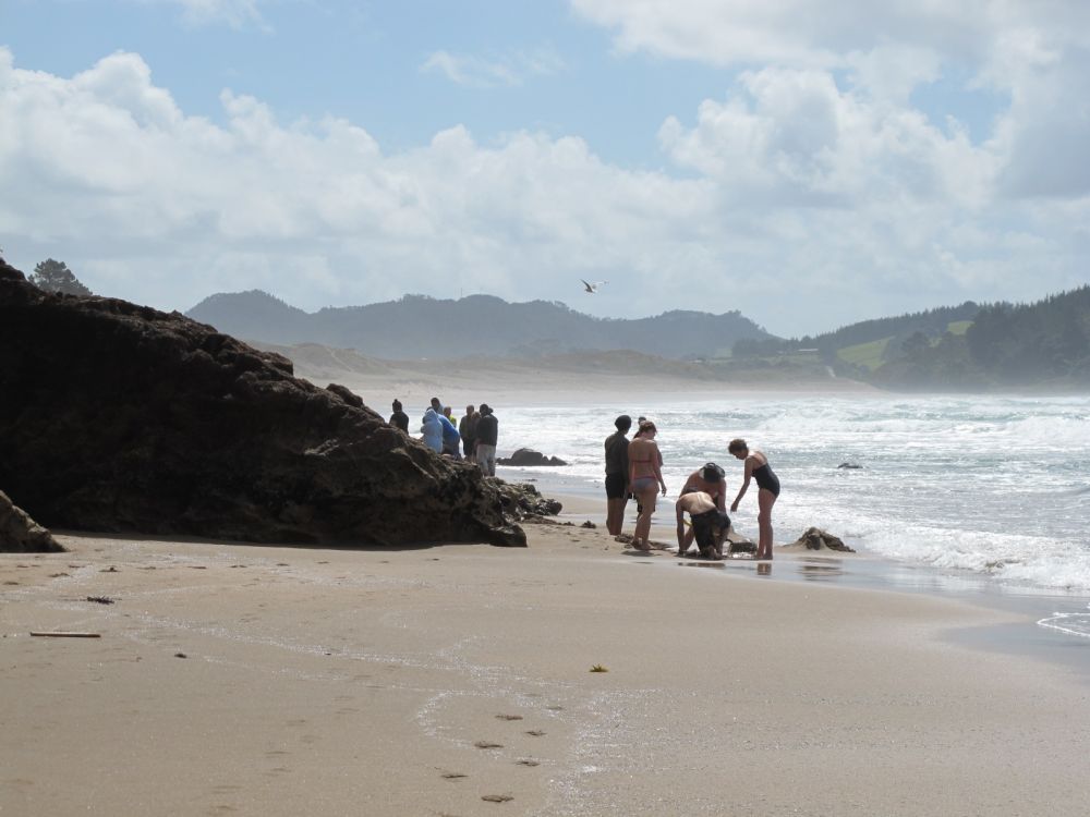 Hot Water Beach, The Coromandel