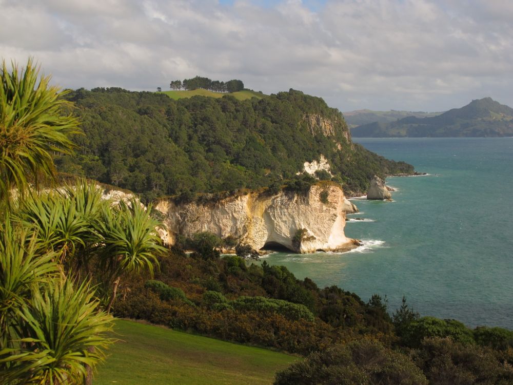 Exploring The Coromandel