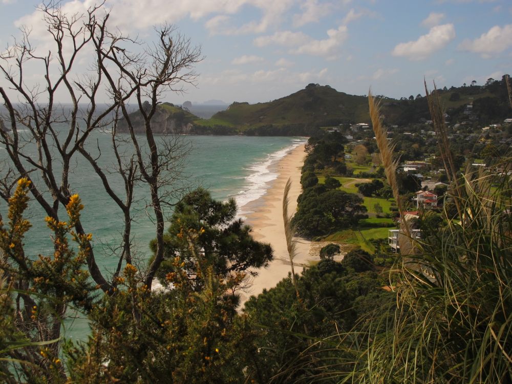 Exploring The Coromandel