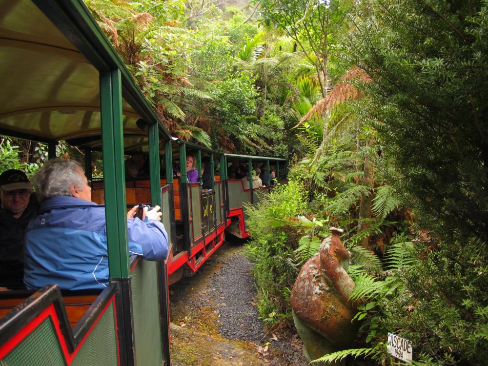 Exploring The Coromandel