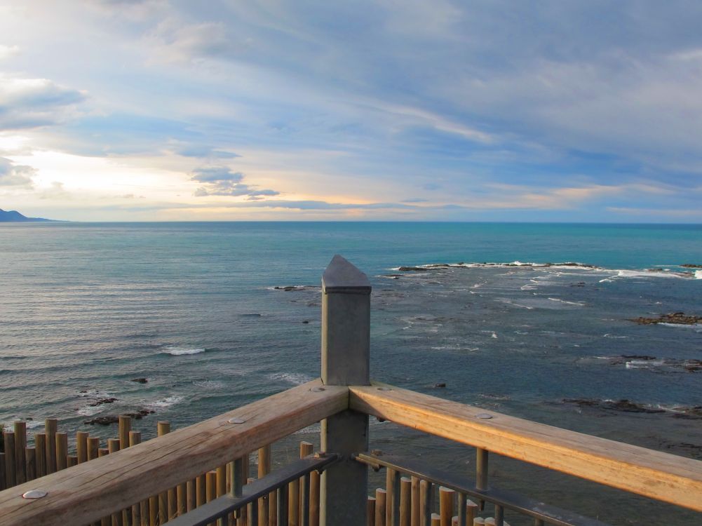 Whale Watching in Kaikoura