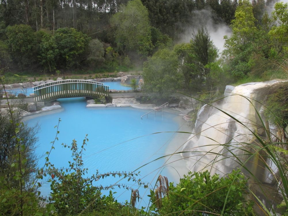 Hot Pool Indulgence in Rotorua