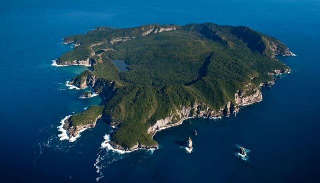 Tuhua: The Must Visit Island of The Bay Of Plenty