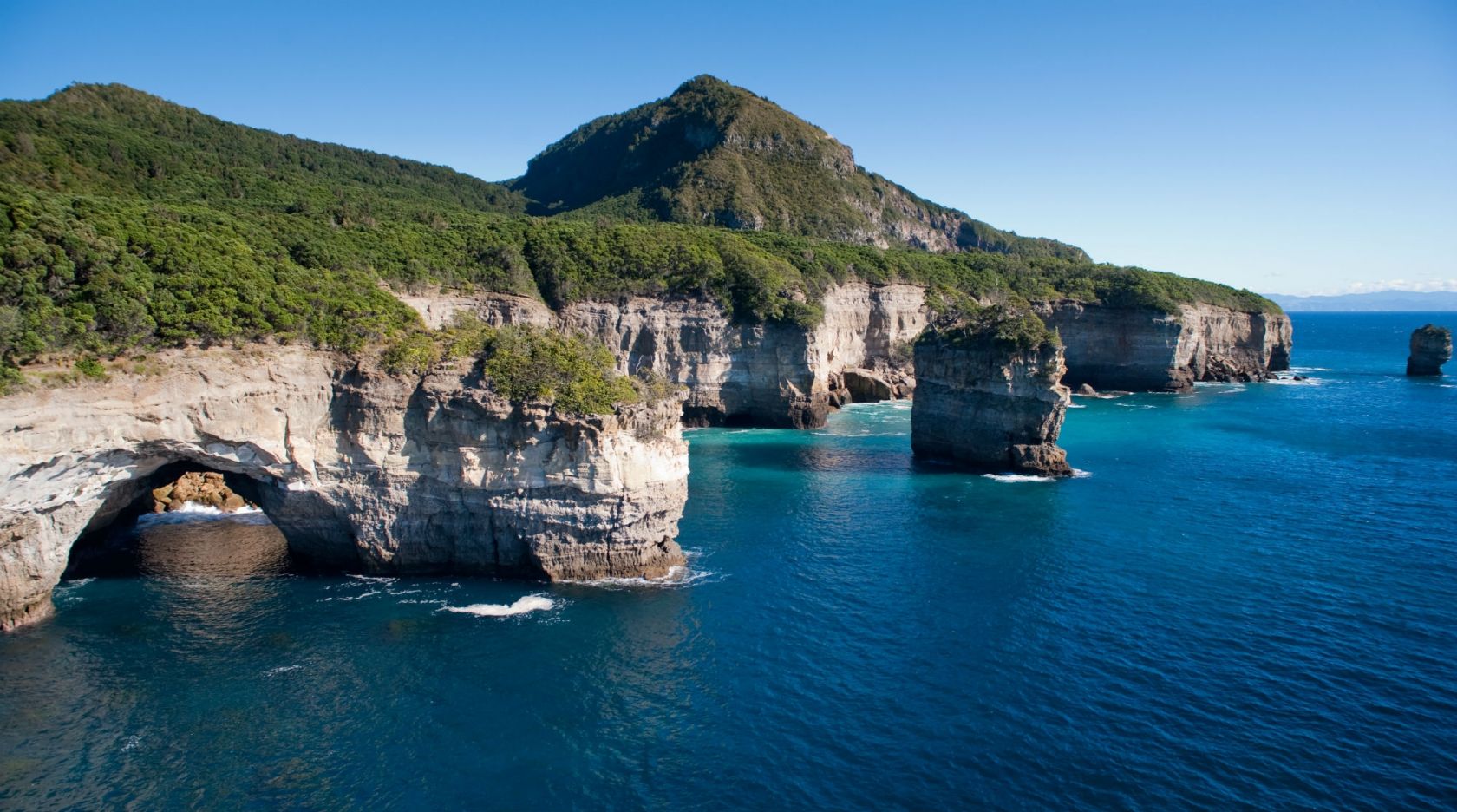 Tuhua: The Must Visit Island of The Bay Of Plenty