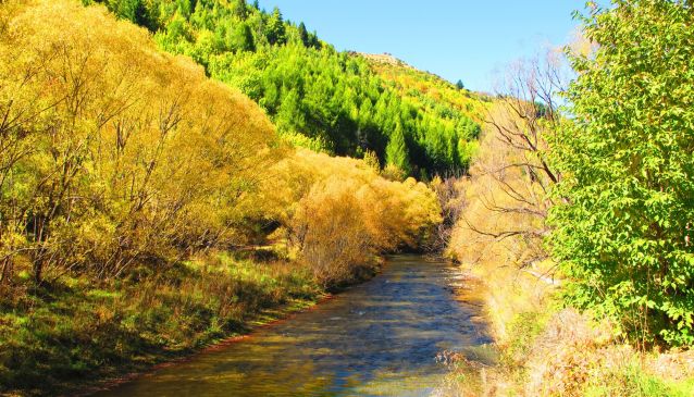 Arrowtown Autumn Festival