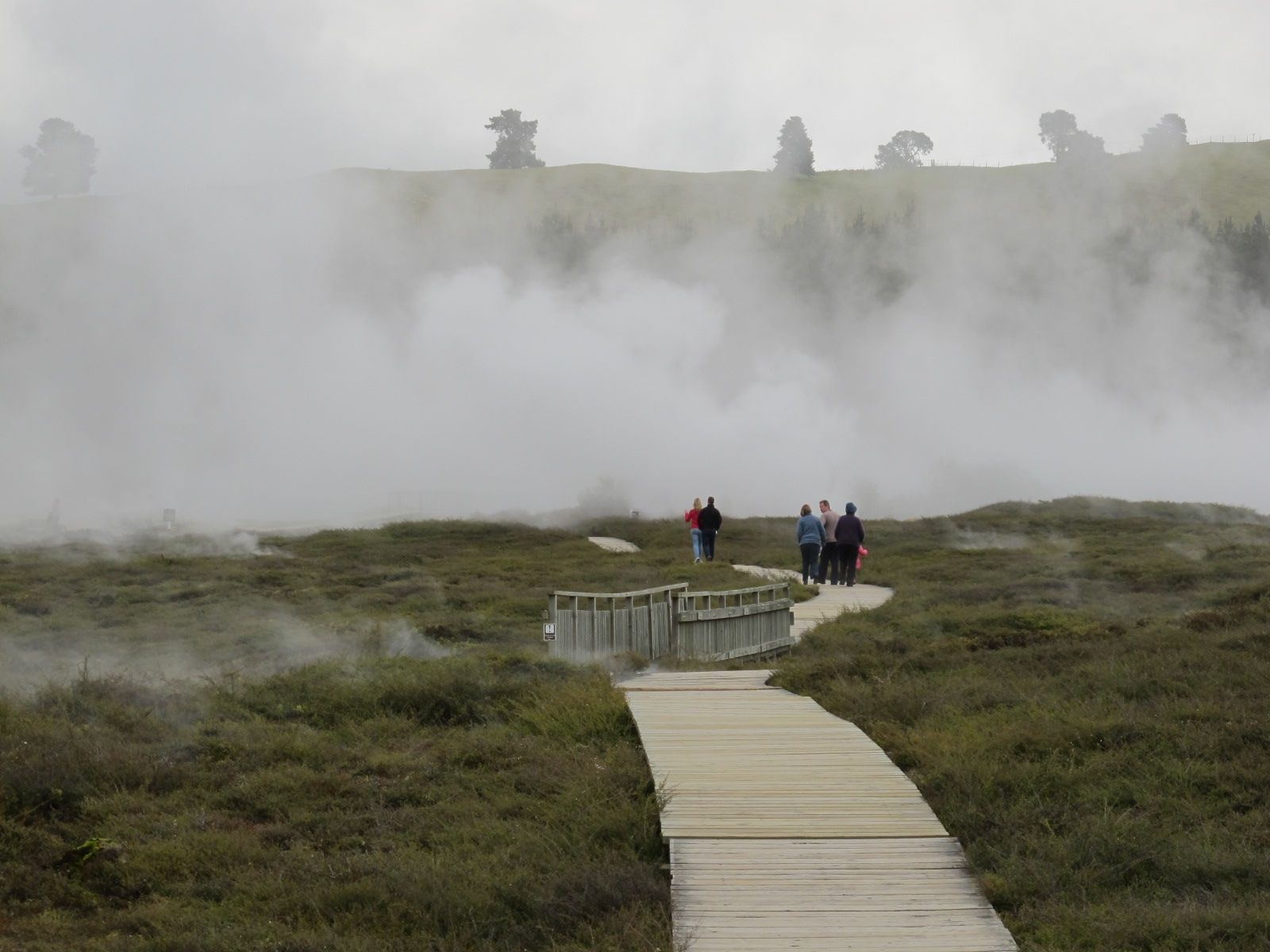 Rotorua is Turning Up The Heat