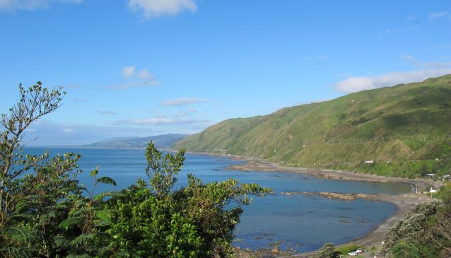 Kick Back and Relax on the Kapiti Coast