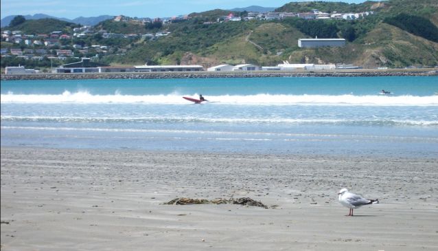 A Guide to Wellington’s Beaches