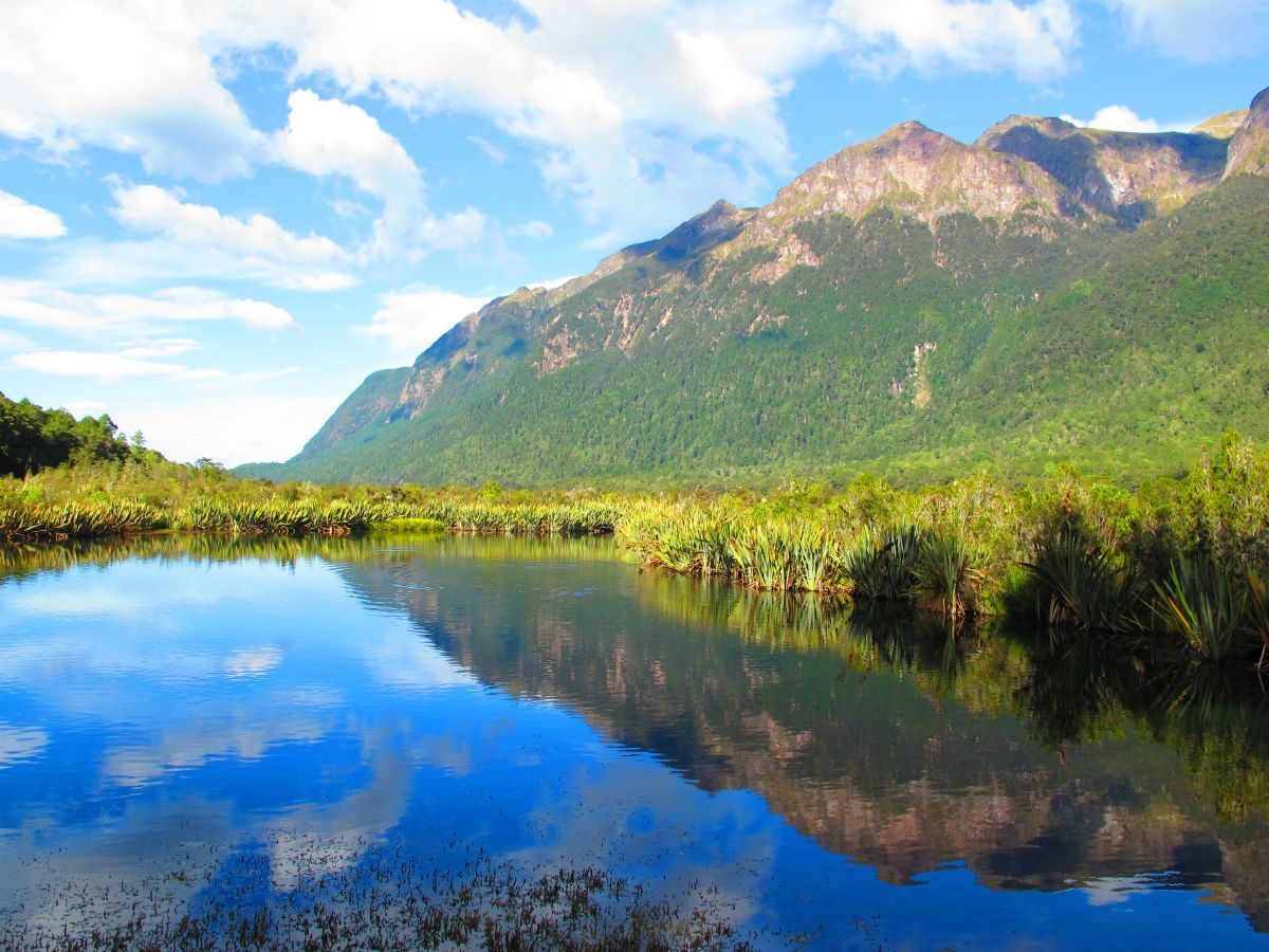 Queenstown to Milford Sound Drive