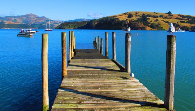 Ten Ways to Enjoy Akaroa and Banks Peninsula