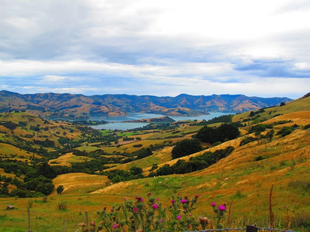 Banks Peninsula