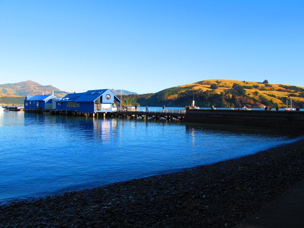 Ten Ways to Enjoy Akaroa and Banks Peninsula