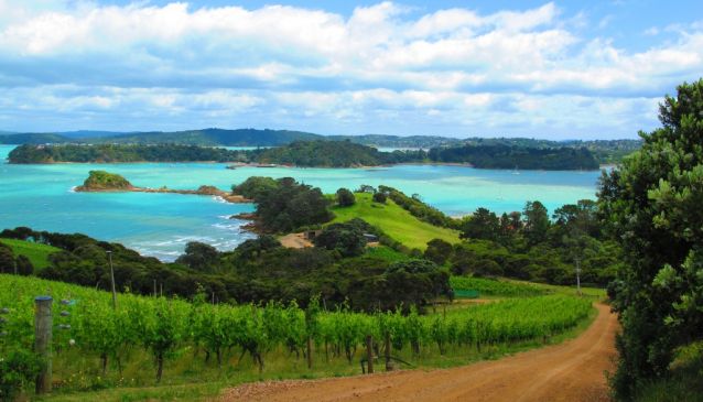 Island Hopping in Auckland's Hauraki Gulf