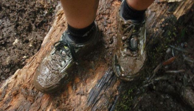 Giant Redwoods and Muddy Trails in Rotorua