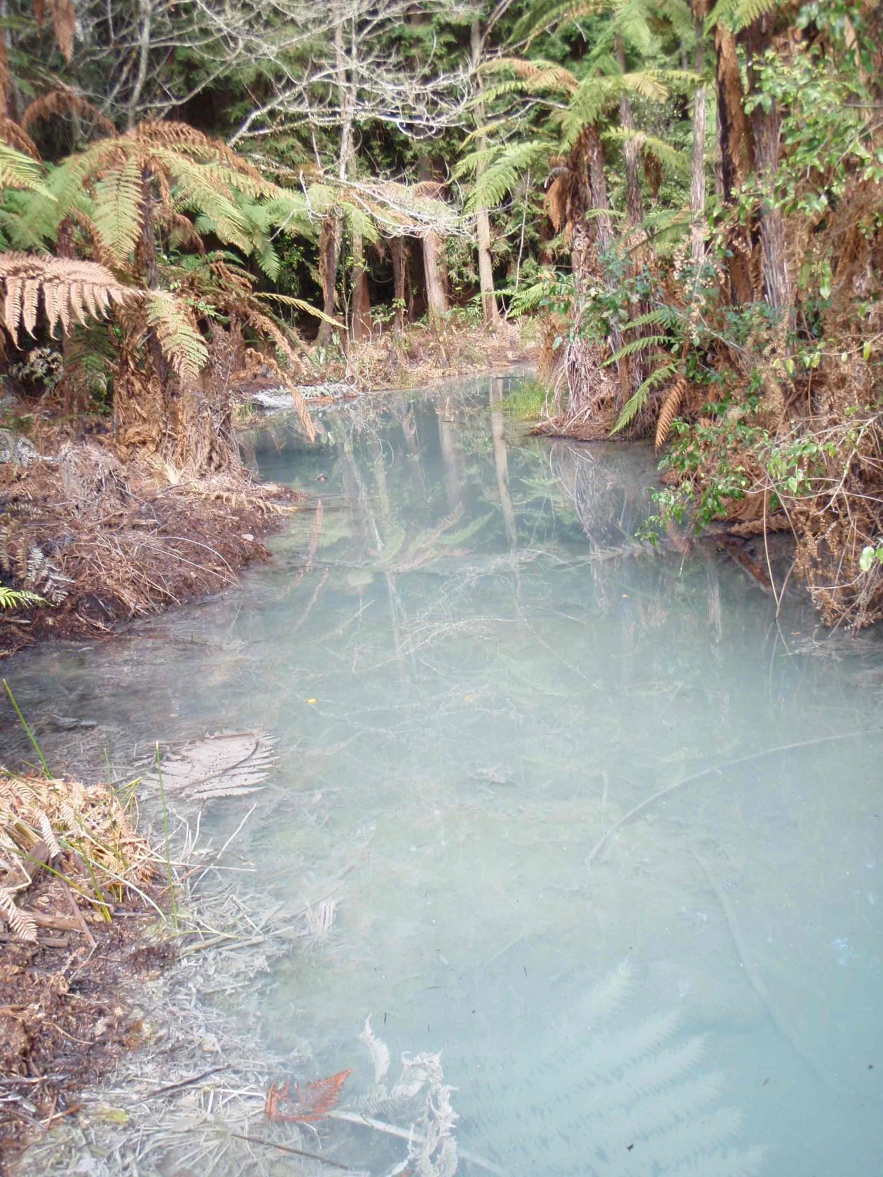 Passing a pool on the trail