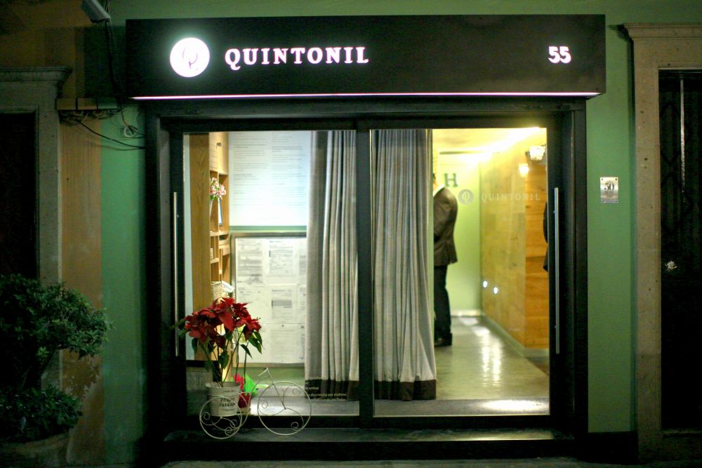 Quintonil: A Portrait of Gastronomic Excellence