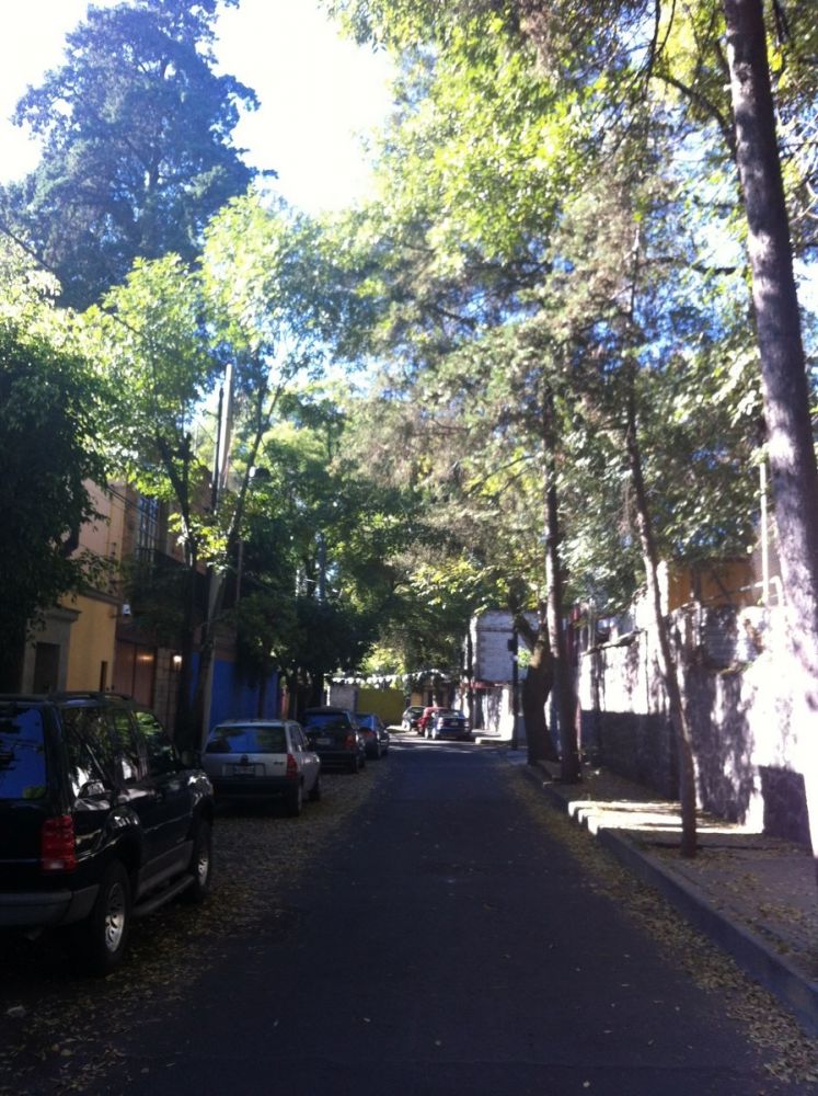 Coyoacan's alleys