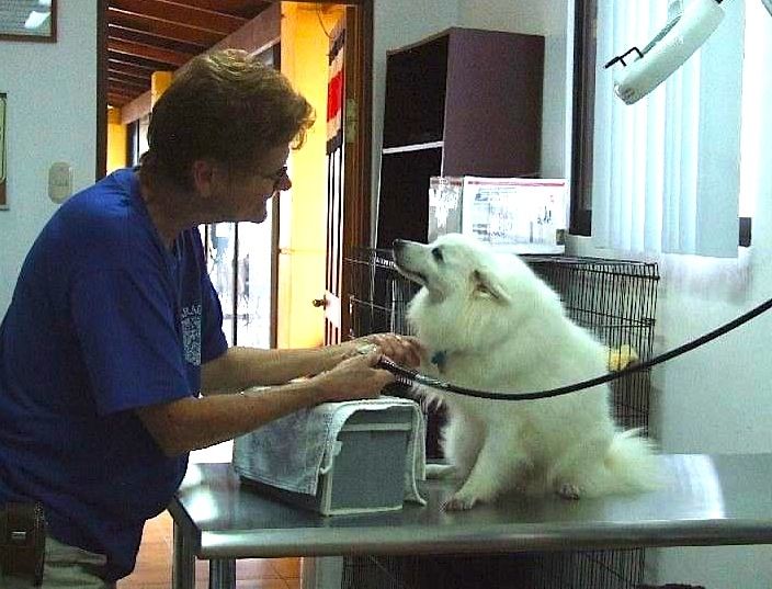 The 'Dog Whisperer' of Atenas