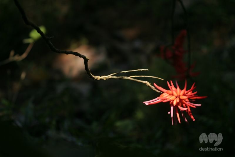 3 Amazing Costa Rica National Parks