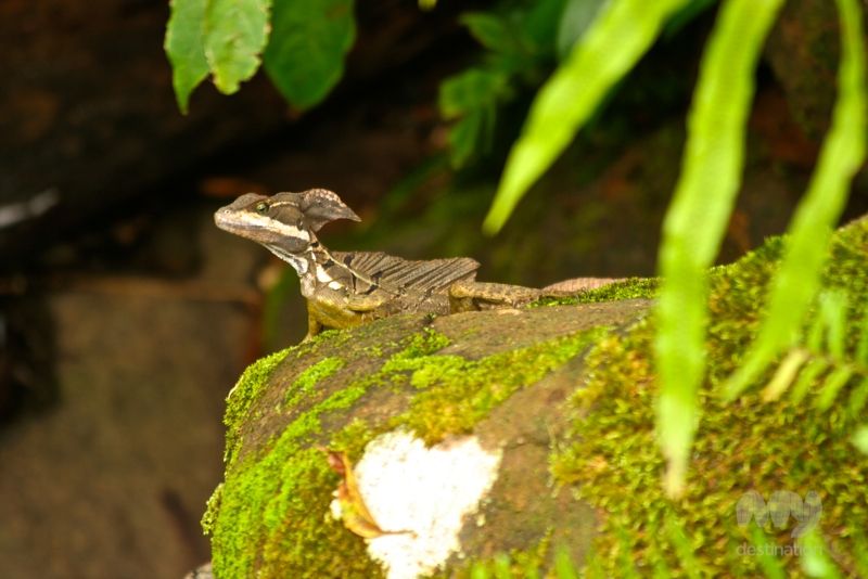 3 Amazing Costa Rica National Parks