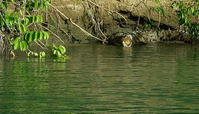 Off the Beaten Path in Estrada, Costa Rica