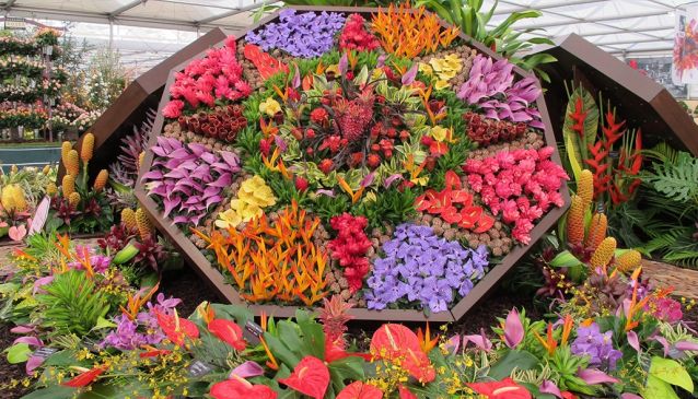 Gold for Barbados at the Chelsea Flower Show 