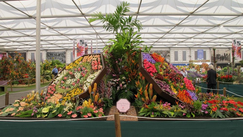 Gold for Barbados at the Chelsea Flower Show 