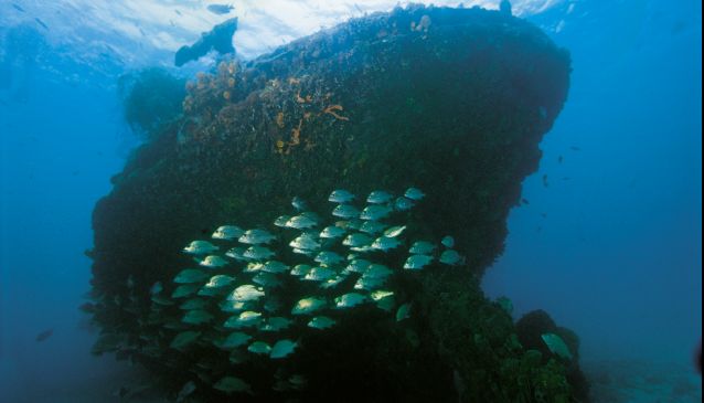 Shipwrecks of Barbados