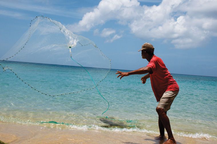 A Day in the Life of a Barbados Fisherman