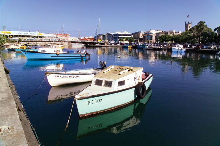 A Day in the Life of a Barbados Fisherman