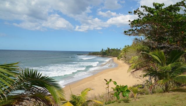 A Surfing Mecca in the Caribbean