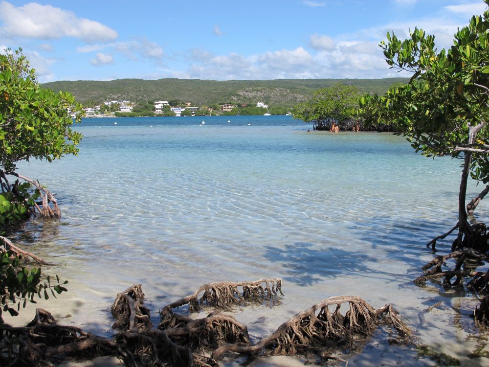 Things to Do in Guanica: An Adventurous Stopover