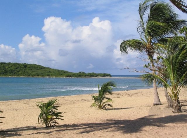 Explore Puerto Rico's Best Beaches