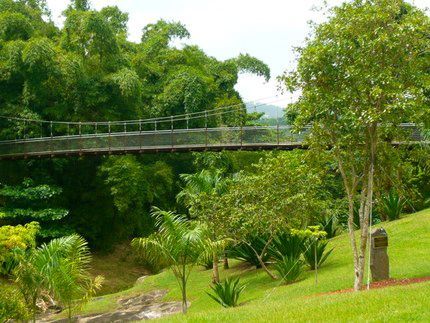 An Educational Escape in Puerto Rico