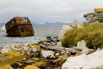 Falkland Islands