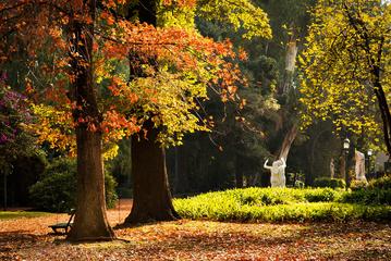 Buenos Aires Botanical Garden