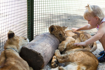 Lujan Zoo