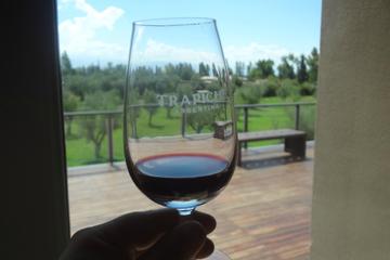 Trapiche Winery