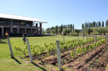 Achaval Ferrer Winery