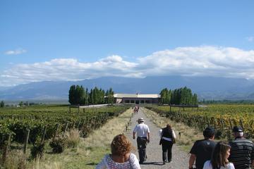 Bodegas Salentein