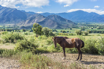 Calchaqui Valley