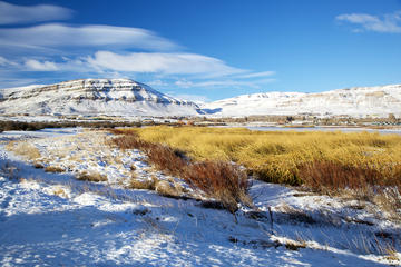 Laguna Nimez Reserve