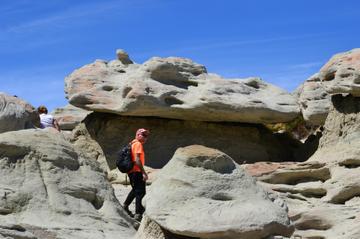 La Leona Petrified Forest