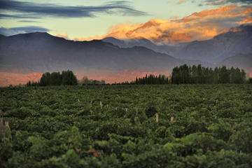 Uco Valley